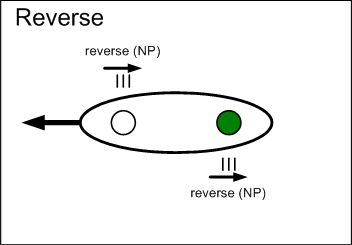 A drawing of a reverse stroke.