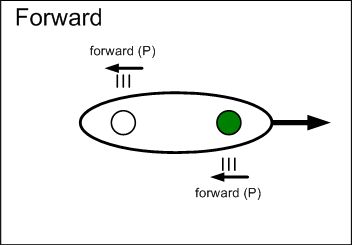 Forward stroke